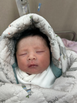 김리오 첨부파일 : 1710756539.png