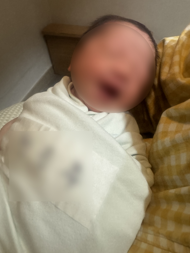 0 첨부파일 : 1731457046.jpg