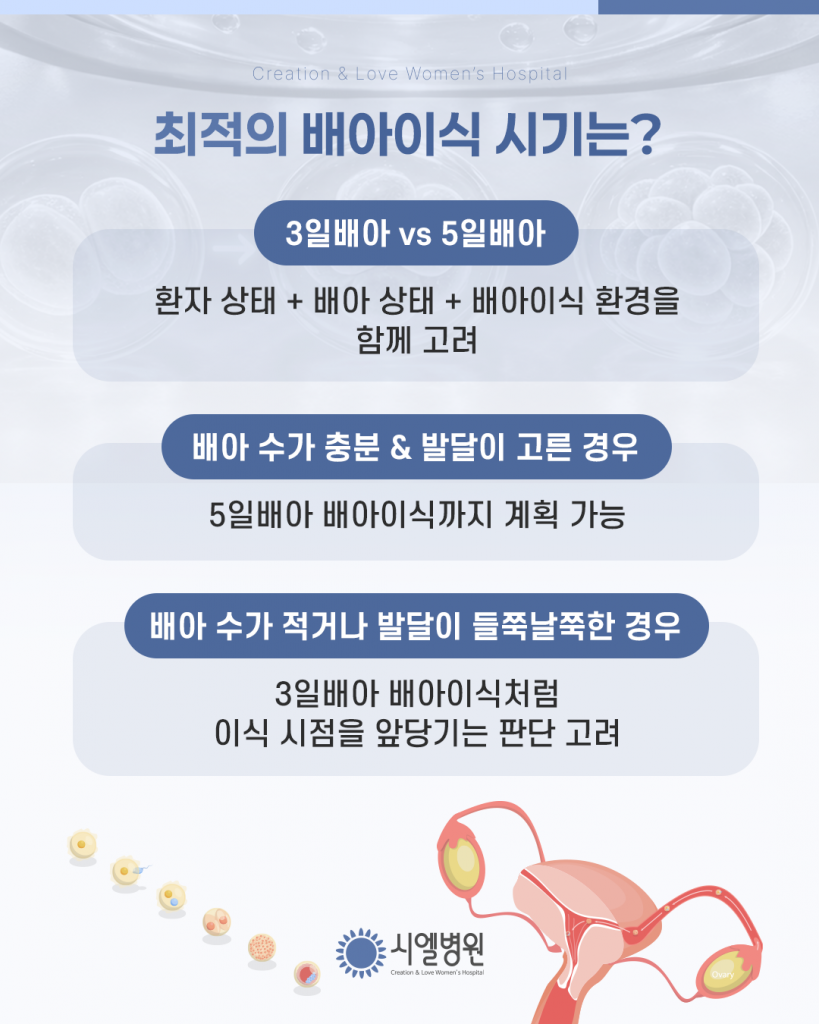 3일배아? 5일배아? 배아이식 최적의 시기 선택 첨부파일 : 1772672099.png