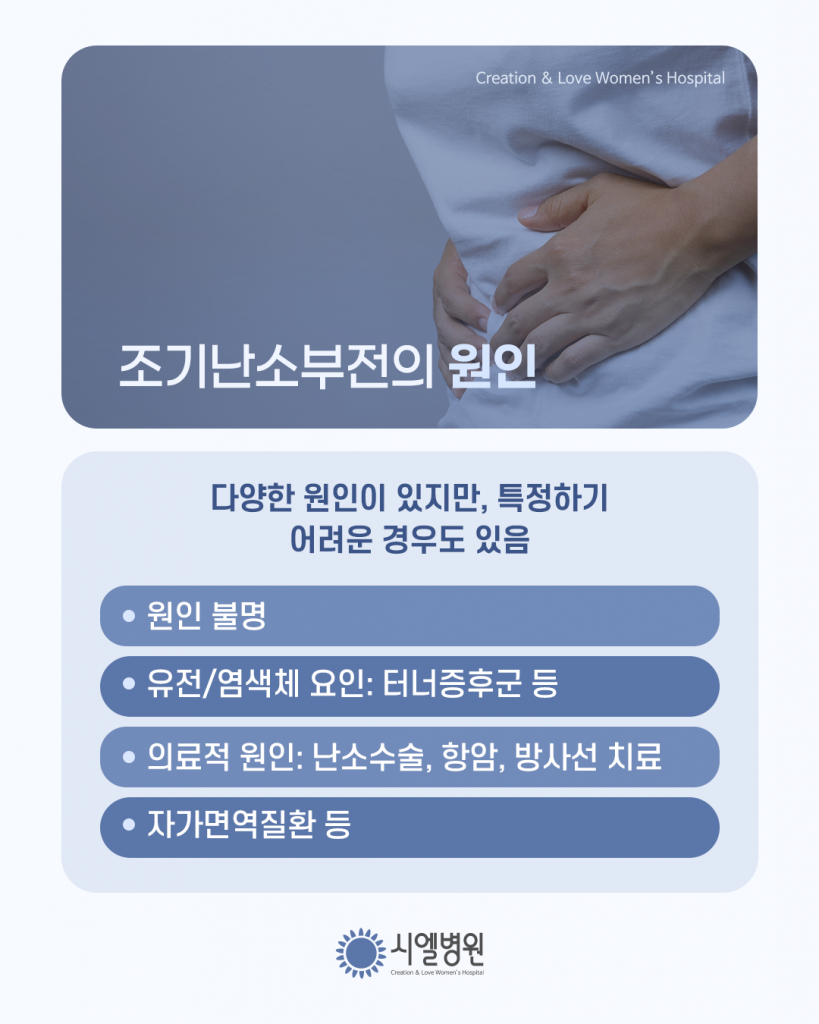 난소기능저하로 인한 조기폐경 치료 시 중요한 점 [조기난소부전 치료] - 시엘병원 최민엽 원장 첨부파일 : 1773704708.png