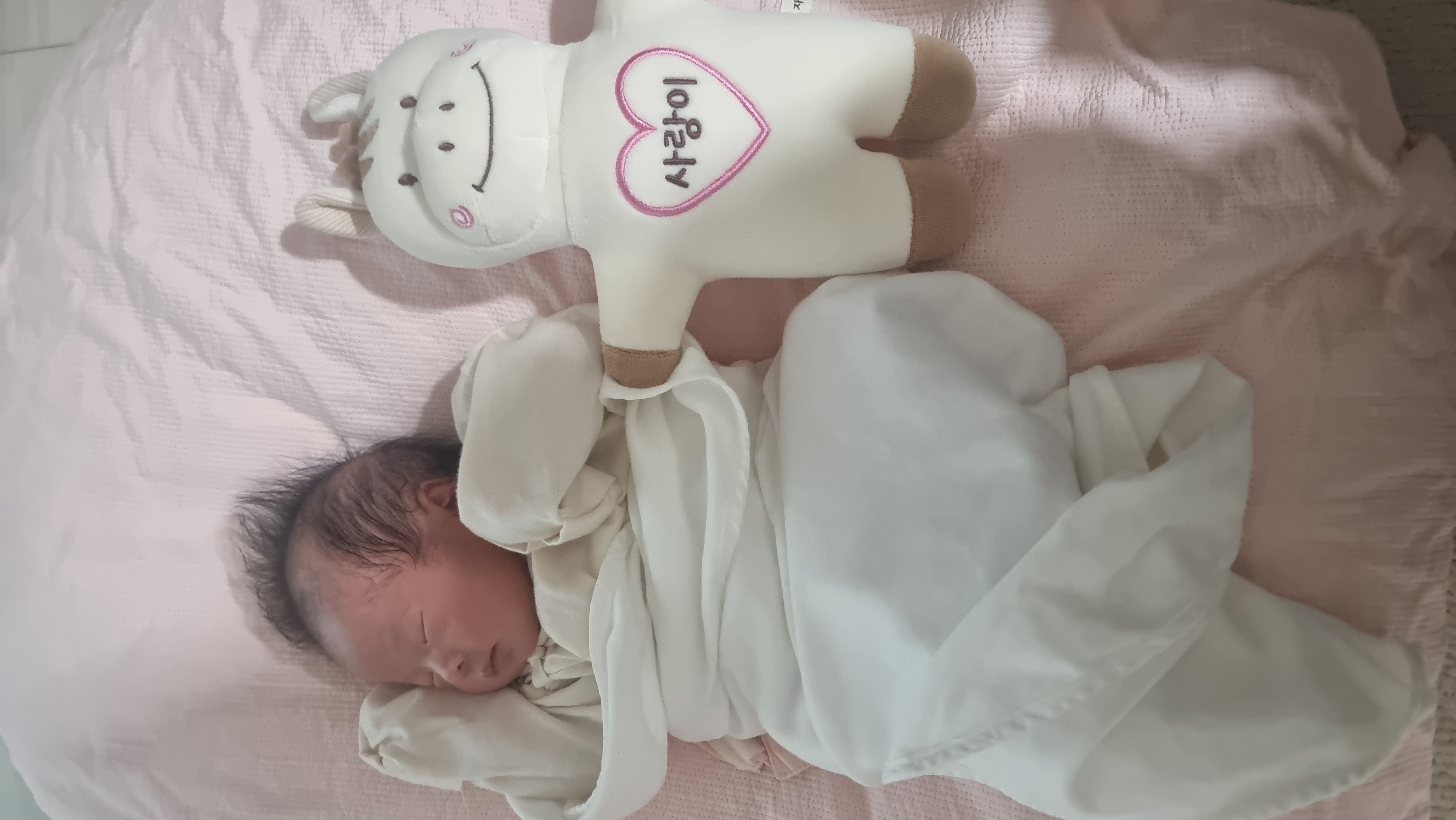 최민엽원장님 간호사선생님들 감사합니다  첨부파일 : 1768941943.jpg